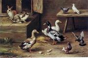 unknow artist poultry  174 Germany oil painting artist